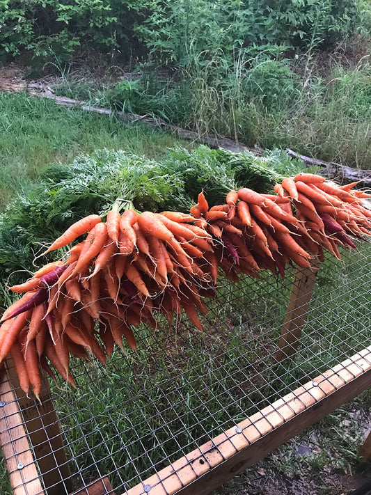 Carrots