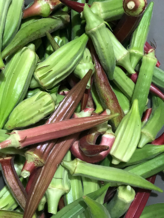 Okra (Green)