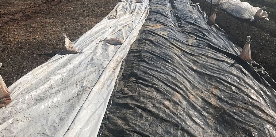 Building Beds Silage Tarp