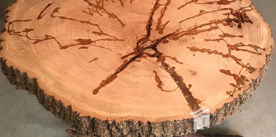 Slab Coffee Table with stump bottom